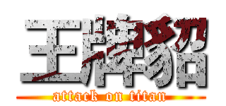 王牌貂 (attack on titan)