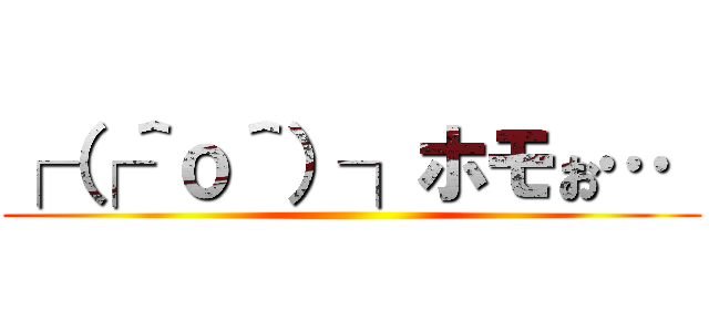 ┌（┌＾ｏ＾）┐ホモぉ…  ()