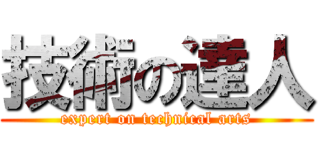 技術の達人 (expert on technical arts)