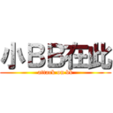 小ＢＢ在此 (attack on bb)