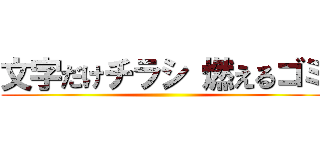 文字だけチラシ 燃えるゴミ ()