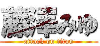 藤澤みゆ (attack on titan)