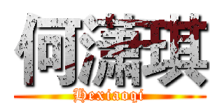 何潇琪 (Hexiaoqi)