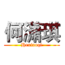 何潇琪 (Hexiaoqi)
