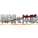 職場を体験 (job experience)