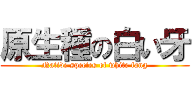 原生種の白い牙 (Native species of white fang)