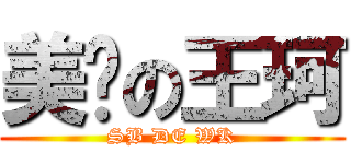 美丽の王珂 (SB DE WK)