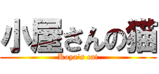 小屋さんの猫 (Koya's cat)