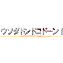 ウソダドンドコドーン！ (usodasonnnakoto!)