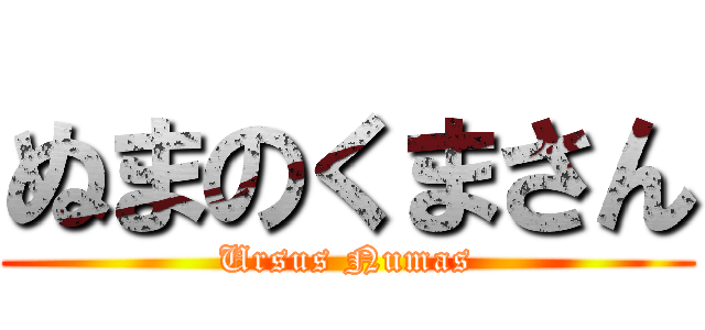 ぬまのくまさん (Ursus Numas)