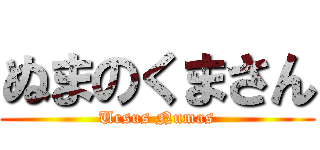 ぬまのくまさん (Ursus Numas)