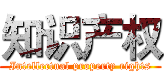 知识产权 (Intellectual property rights)