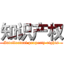 知识产权 (Intellectual property rights)