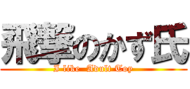 飛撃のかず氏 (I like  Adult Toy)
