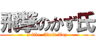 飛撃のかず氏 (I like  Adult Toy)