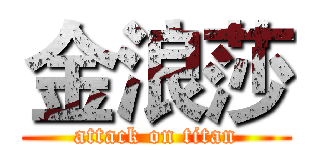 金浪莎 (attack on titan)