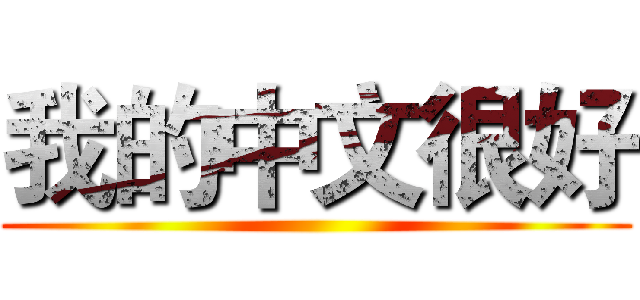 我的中文很好 ()