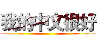 我的中文很好 ()