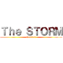 Ｔｈｅ ＳＴＯＲＭ (Goodluck)