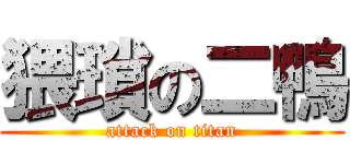 猥瑣の二鴨 (attack on titan)