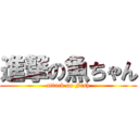 進撃の魚ちゃん (attack on Fish)