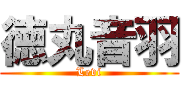 徳丸音羽 (Levi)