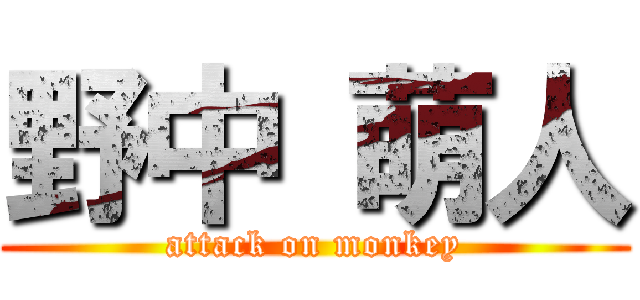 野中 萌人 (attack on monkey)