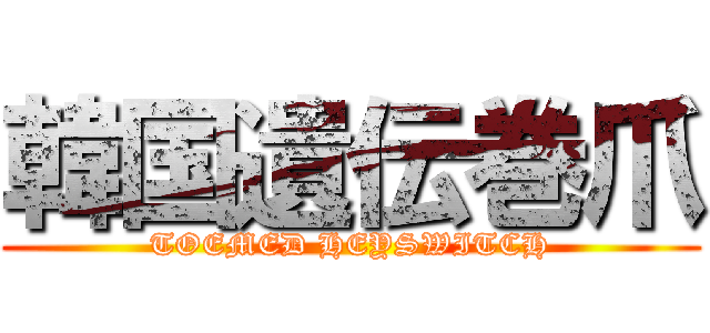 韓国遺伝巻爪 (TOEMED HEYSWITCH)