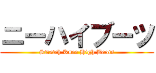 ニーハイブーツ (Stretch Knee High Boots)