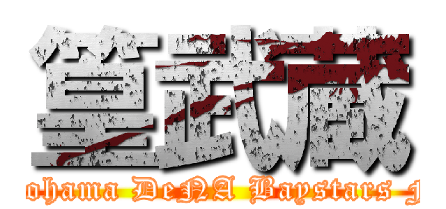 篁武蔵 (Yokohama DeNA Baystars Fun)