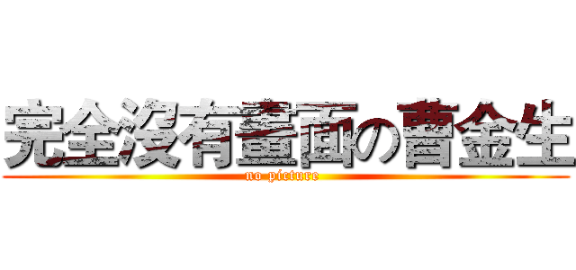 完全沒有畫面の曹金生 (no picture )