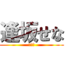 逢坂せな (（仮）)