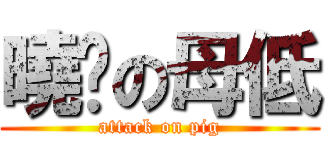曉鷗の母低 (attack on pig)