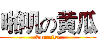 啪叽の黄瓜 (Cucumber)