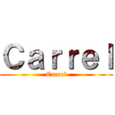 Ｃａｒｒｅｌ (Carrel)