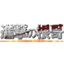 進撃の根哥 (attack on SKLO)