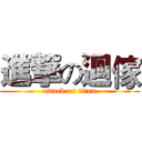 進撃の迴傢 (attack on titan)