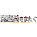 琵琶湖をまたぐ ()