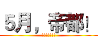 ５月，帝都！ (锤子手机发布会)