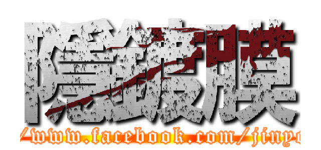 隱鍍膜 (https://www.facebook.com/jinyong722)