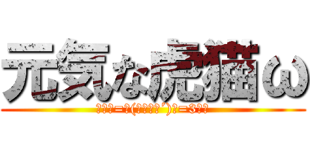 元気な虎猫ω (ﾑｷε=┗(｀･∀･´)┛=3ﾑｷ)