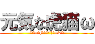 元気な虎猫ω (ﾑｷε=┗(｀･∀･´)┛=3ﾑｷ)