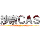 沙奈ＣＡＳ (OBAKANA CAS)