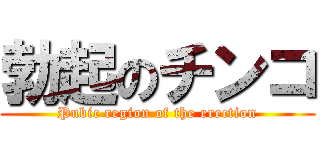 勃起のチンコ (Pubic region of the erection)