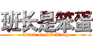 班长是笨蛋 (attack on SB Wang)