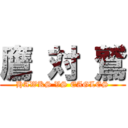 鷹 対 鷲 (HAWKS VS EAGLES)