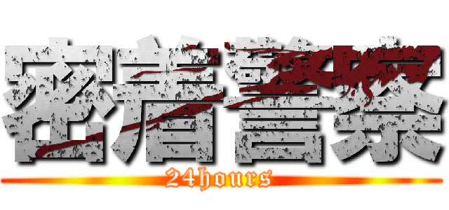 密着警察 (24hours)