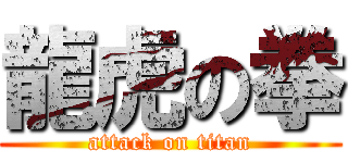 龍虎の拳 (attack on titan)