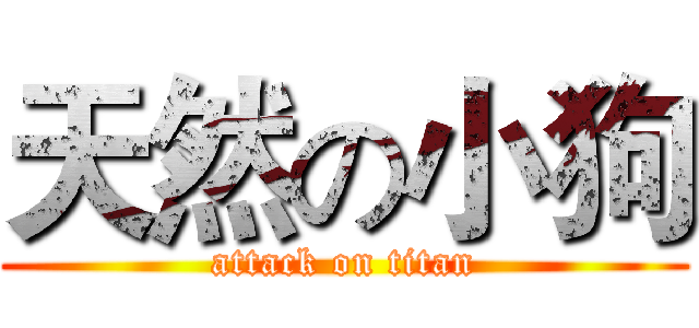 天然の小狗 (attack on titan)