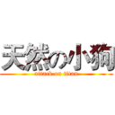 天然の小狗 (attack on titan)